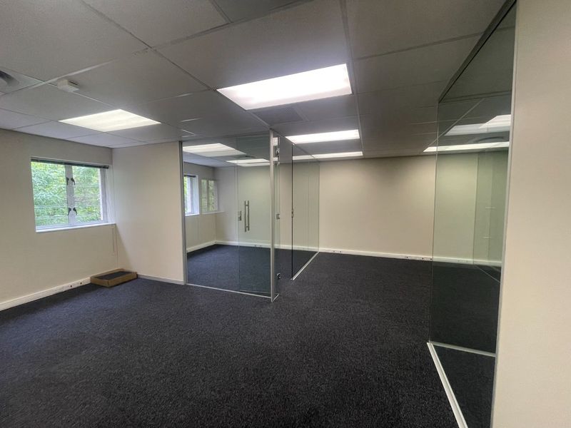 A bright, empty office space featuring modern glass partitions, suspended ceilings with recessed lighting, and clean carpeted flooring.