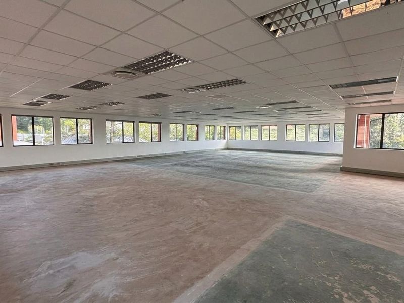 A large, open-plan office space featuring a suspended ceiling with recessed lighting, expansive windows providing natural light, and unfinished concrete flooring.