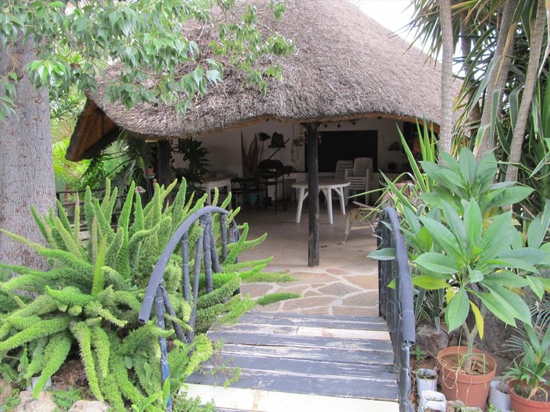 HOUSE WITH OUTBUILDINGS ON LARGE ERF - Photo 2
