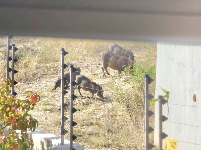 A view of the property perimeter featuring an electric fence and natural surroundings with wildlife.