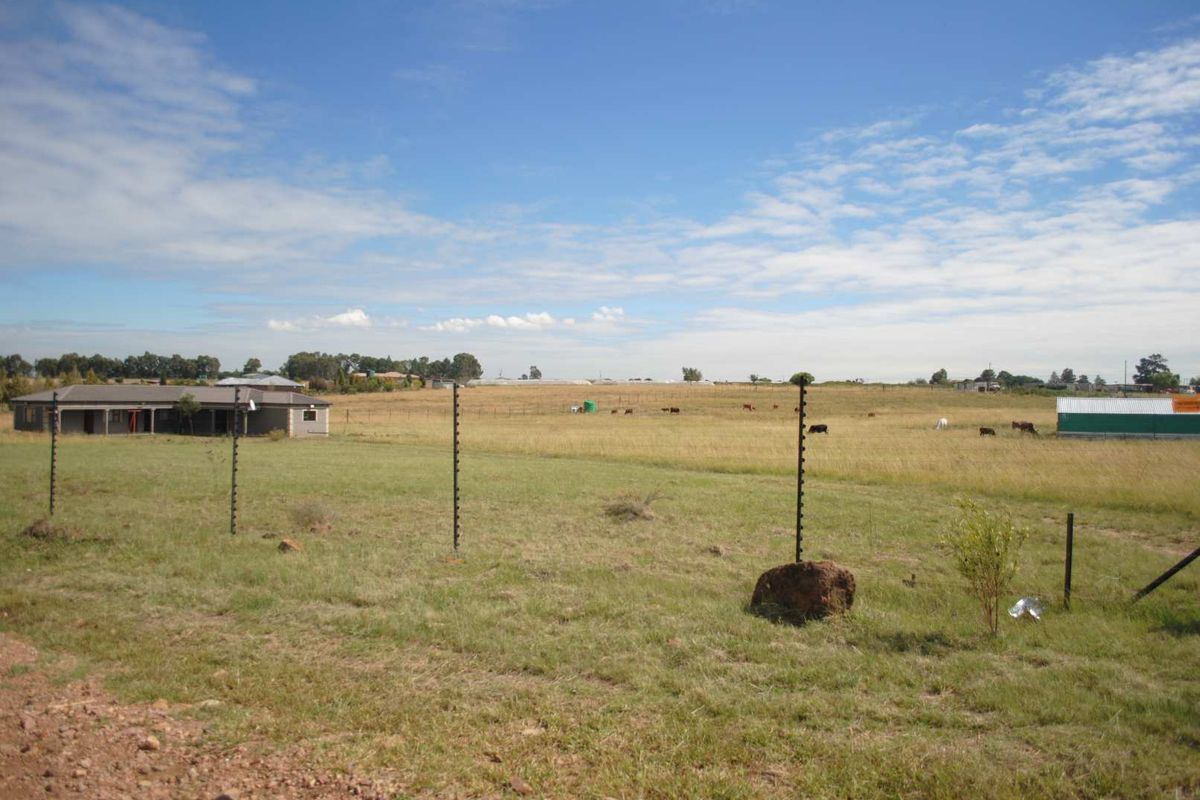 Bonafide farmer, here’s a genuine farming opportunity - While renting - Photo 2