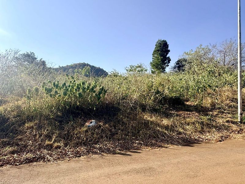 A view of the vacant residential land from the adjacent street, featuring natural vegetation and a utility pole.