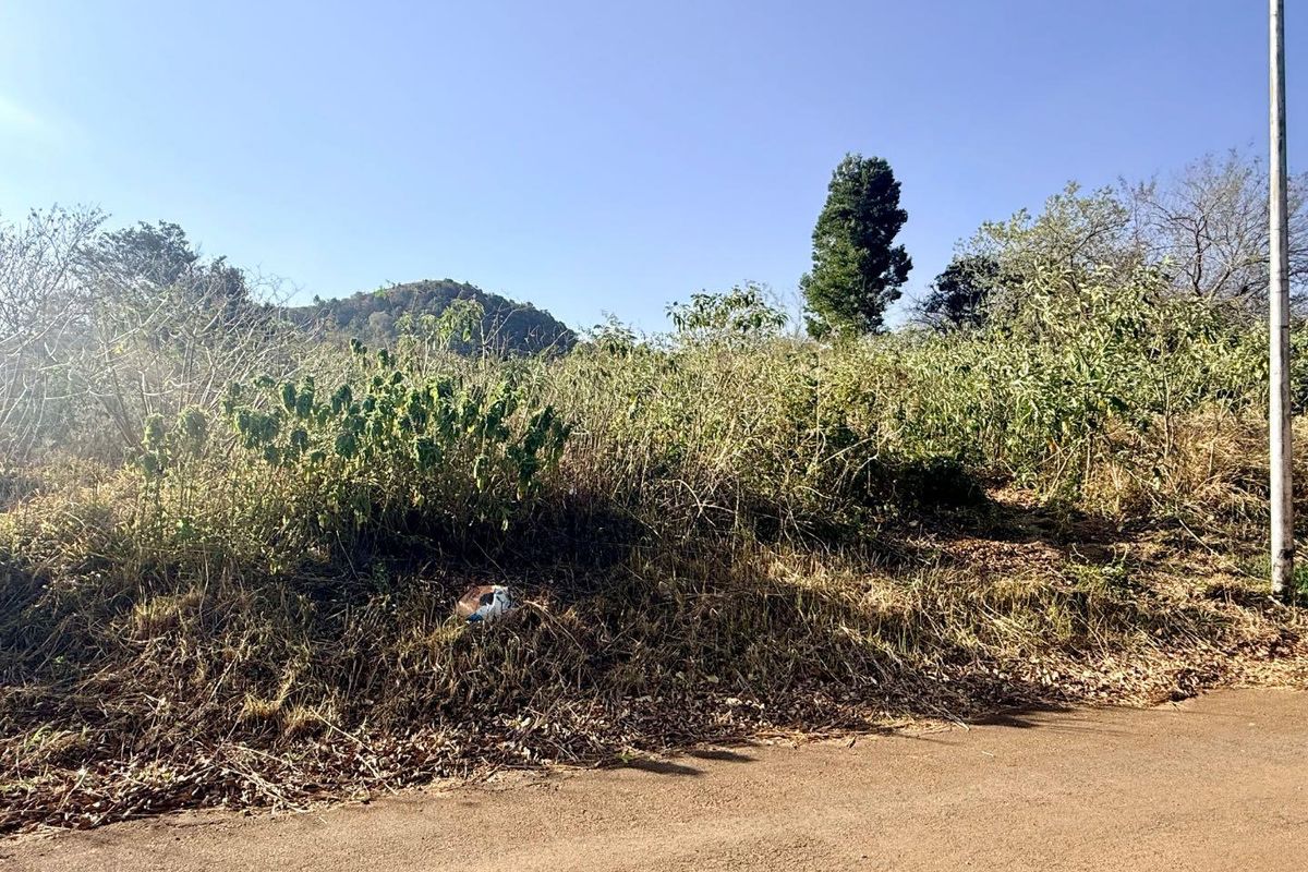 A view of the vacant residential land from the adjacent street, featuring natural vegetation and a utility pole.