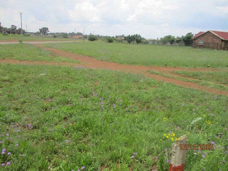 Enjoy the tranquility and peace of Henley - Photo 7