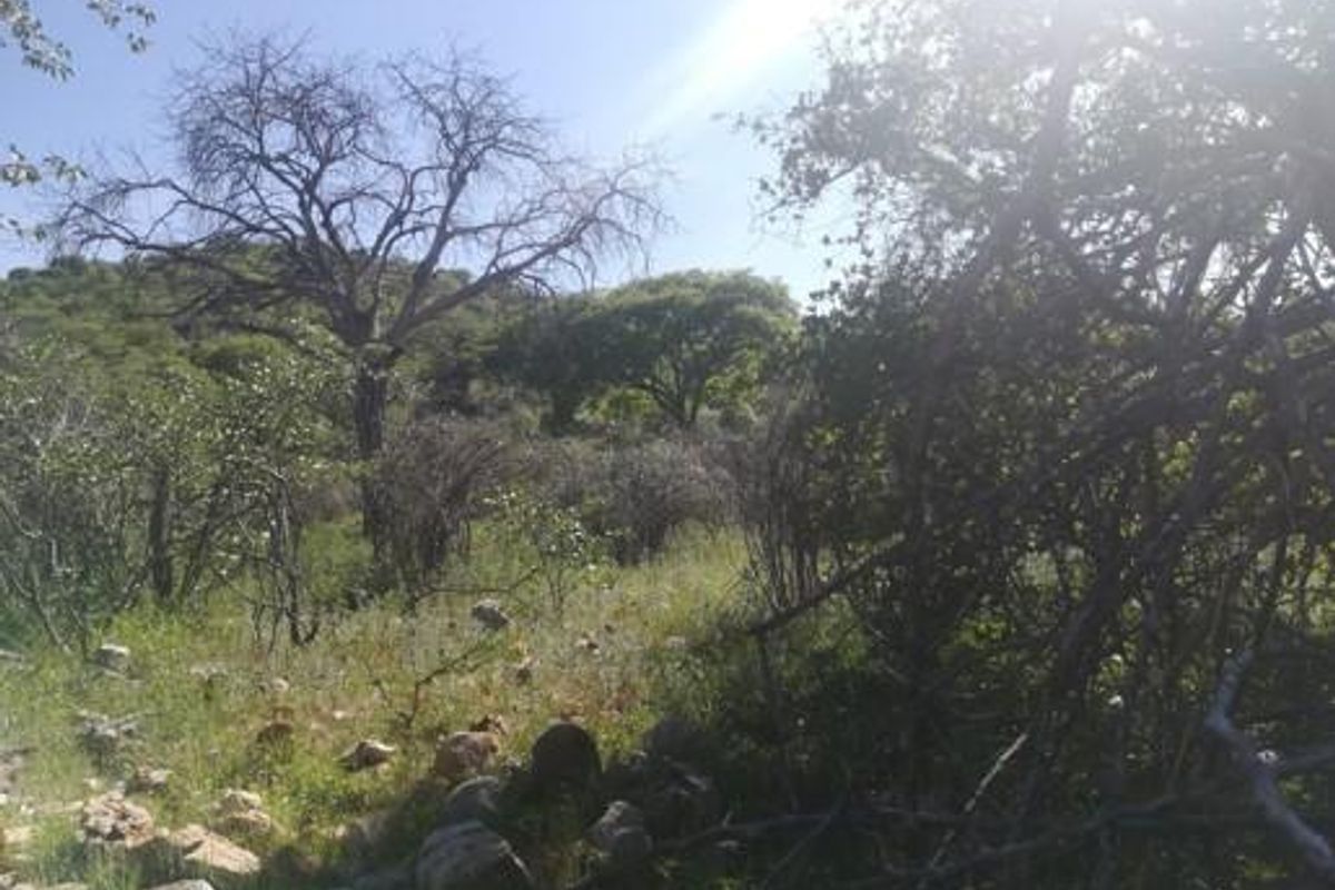 GAME, AGRICULTURAL FARM FOR SALE IN OUTJO AREA - Photo 3