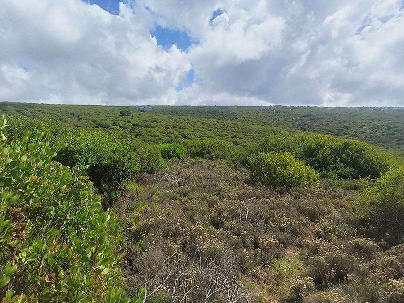 3084m2 Vacant Land With Stunning Views in Moquini Coastal Estate - Photo 2