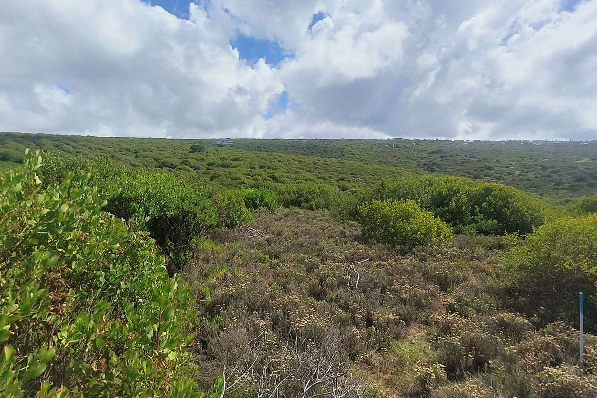 3084m2 Vacant Land With Stunning Views in Moquini Coastal Estate - Photo 2