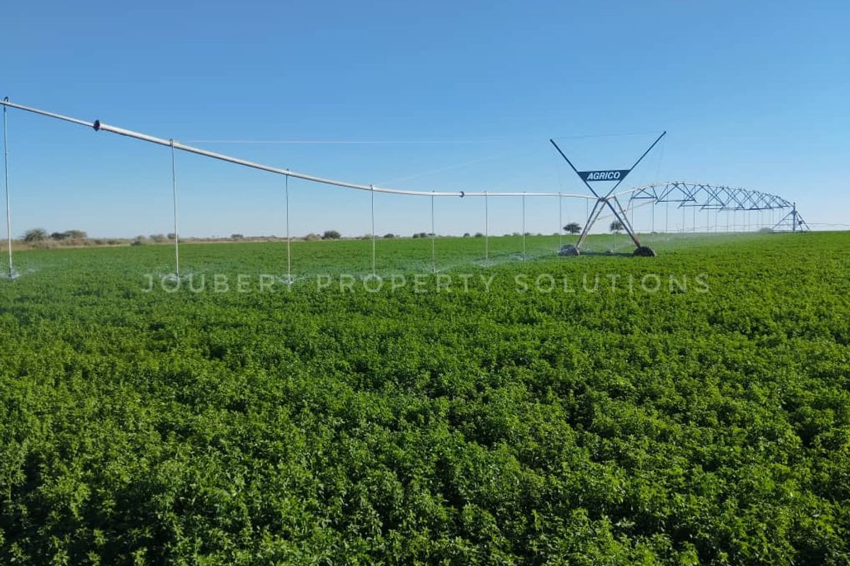 EXCEPTIONAL LIFESTYLE GAME FARM FOR SALE IN THE SOUTH OF NAMIBIA - Photo 4