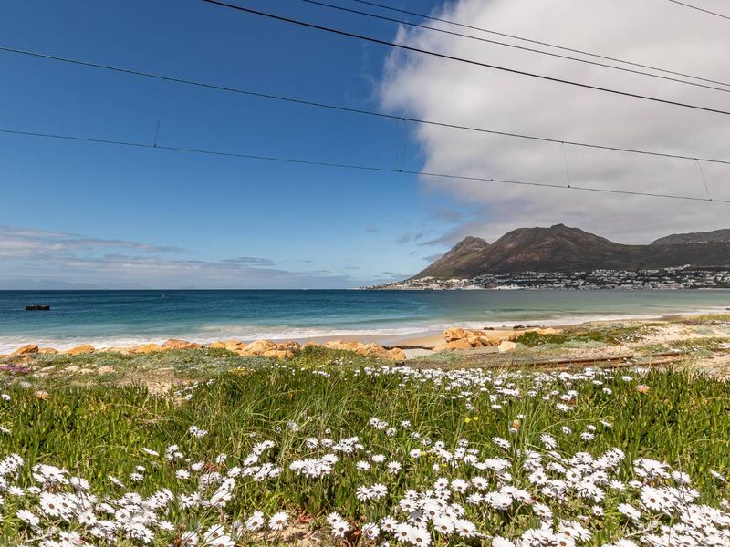A scenic coastal view featuring a sandy beach, ocean, and mountain backdrop, framed by natural vegetation and overhead power lines.
