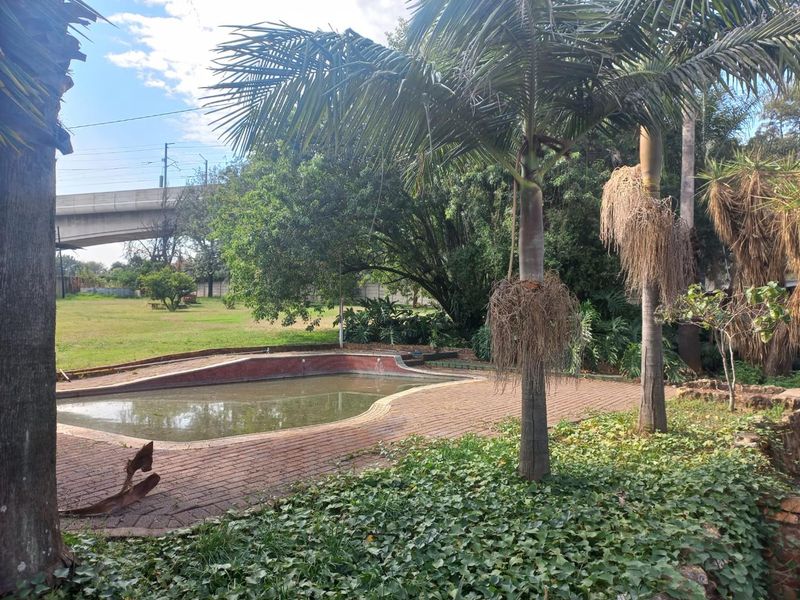 Small Holding for sale!!  UPGRADED AND NEWLY RESTORATED  Opportunity for Investment - Photo 10