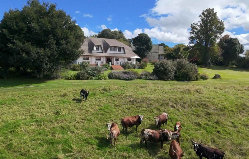 Fine Country Living in the Heart of the Dargle Valley, Howick