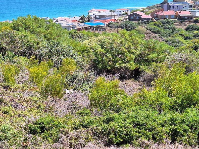 Prime Coastal Canvas: 990m2 with Unobstructed Ocean Views - Photo 8