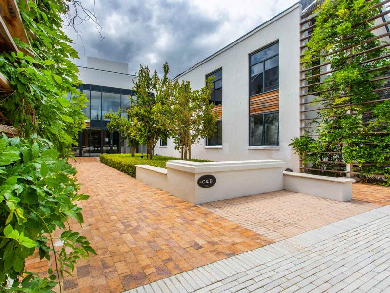 Modern commercial building exterior featuring clean plastered facades, large aluminium windows, and well-maintained brick paved entrance area with integrated timber trellises.