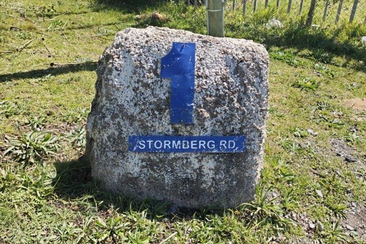 Versatile steel structure to let - Photo 4