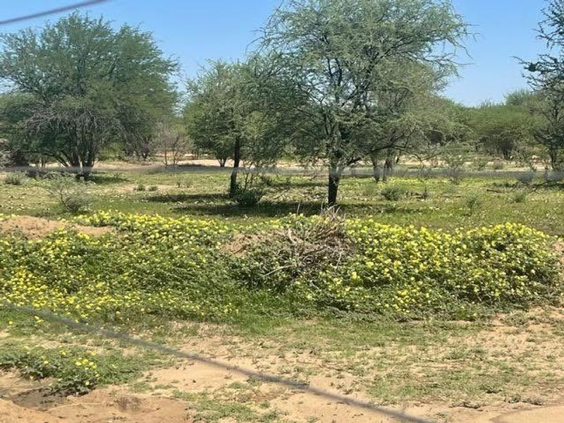 Okahandja- For Sale- N7000 000 - Photo 3