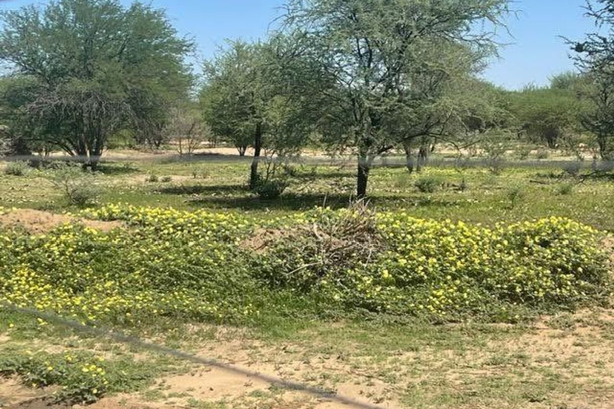 Okahandja- For Sale- N7000 000 - Photo 3