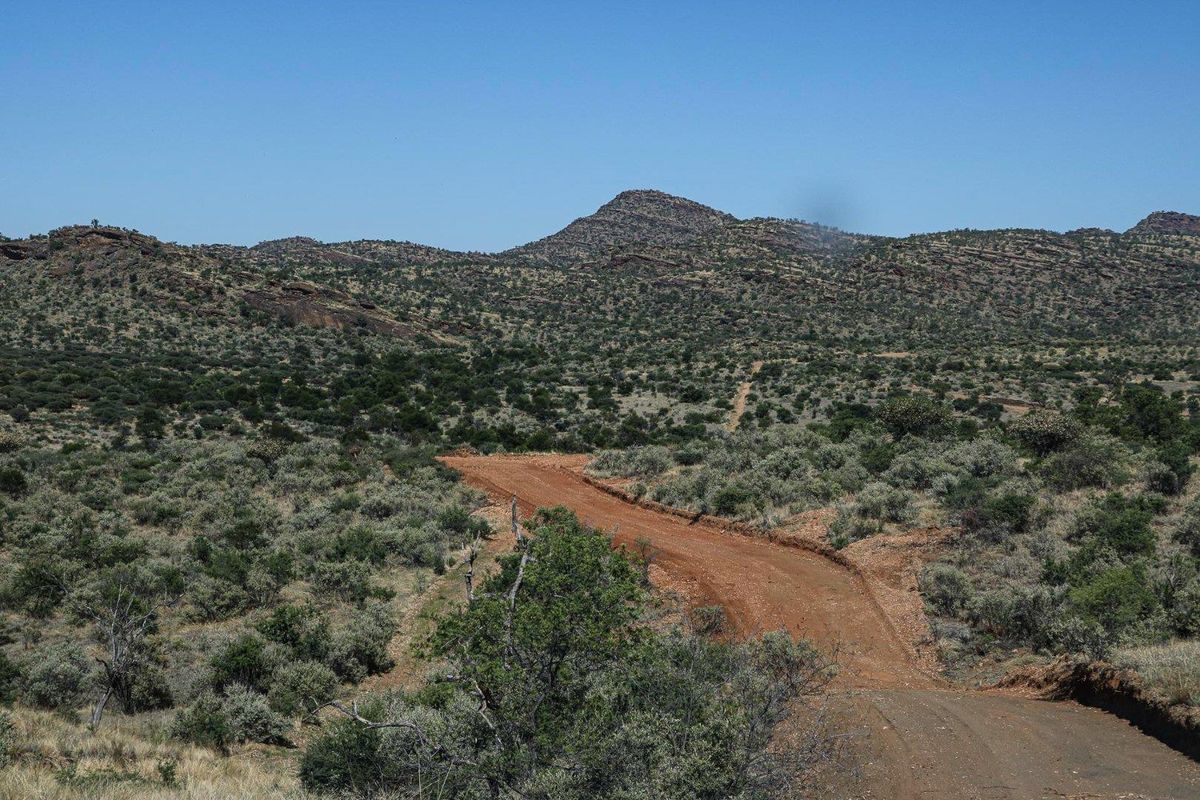 Herboths Blick - Woodlands - 31 premium plots, sold per hectare. - Photo 3