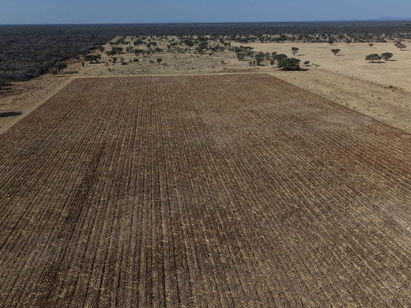 A genuine working farm for the serious agricultural buyer. - Photo 2