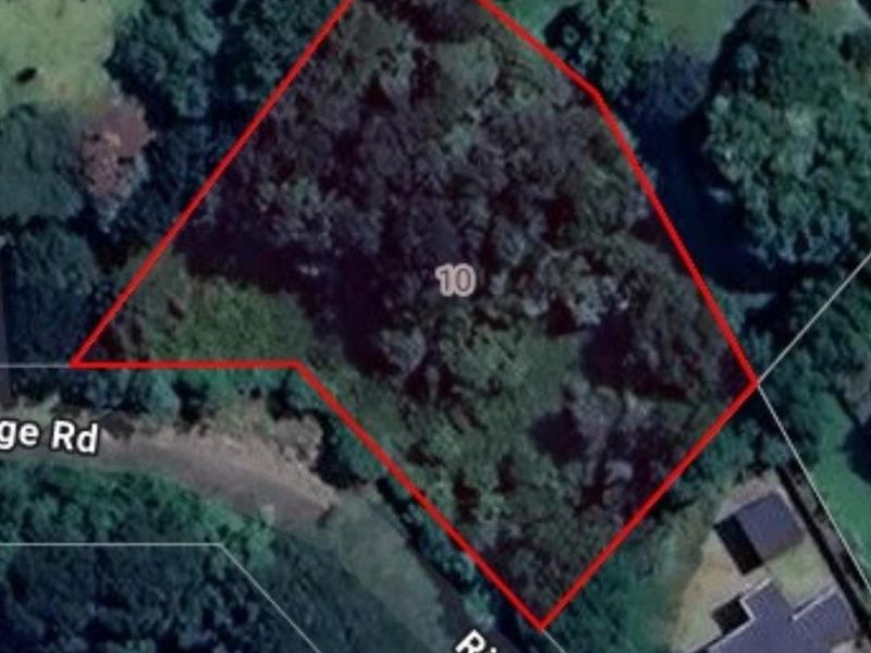 Vacant Land with Massive Potential in Crestholme! - Photo 8