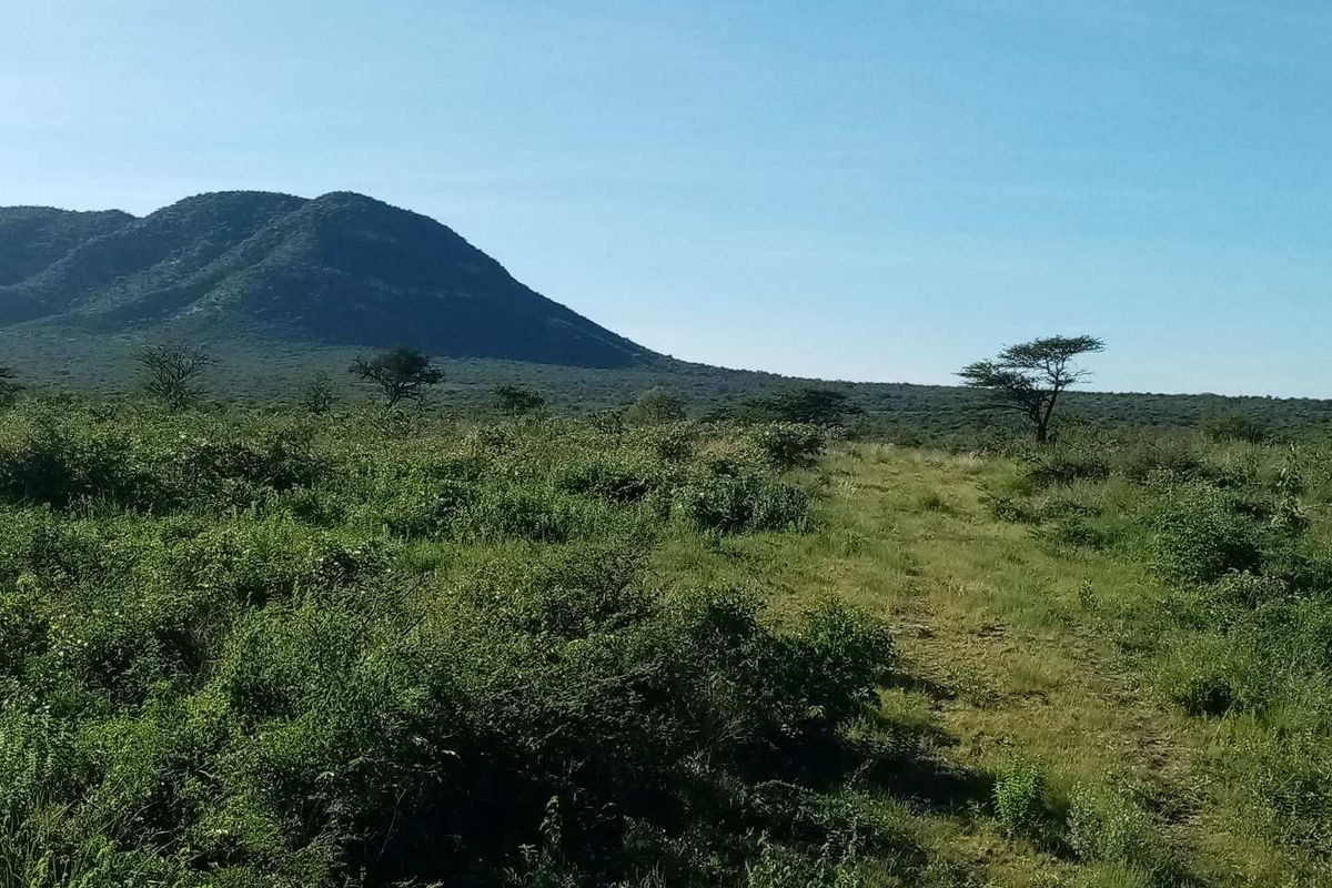 19 AGRICULTURAL SMALLHOLDINGS FOR SALE IN OTAVI, NAMIBIA - Photo 4