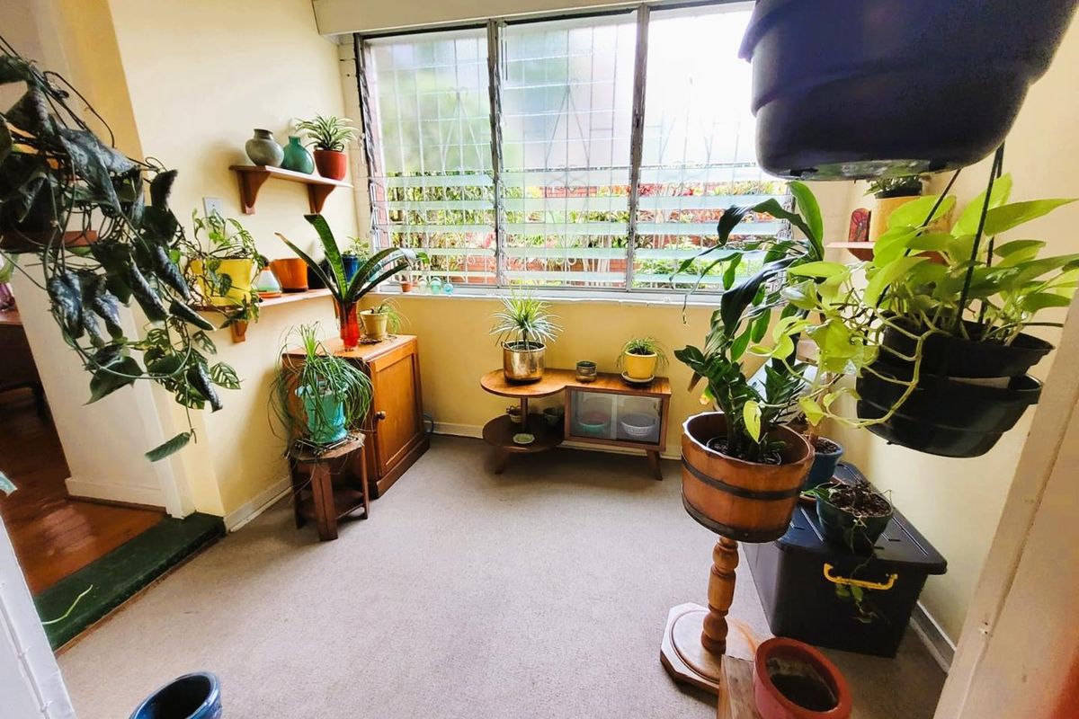 A sunlit room featuring large windows with security bars, carpeted flooring, and built-in shelving, suitable for a study or sunroom.