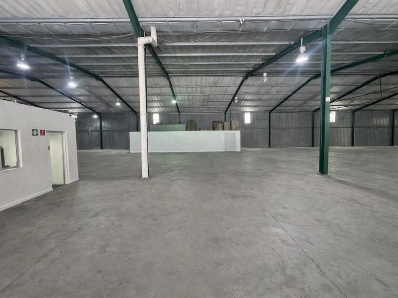 Hendra - Stand-Alone 2600 sqm Warehouse with 1400 sqm Yard – To Let | Briardene - Photo 6