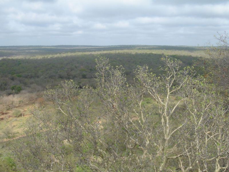 Top Game Breeding Farm for Sale - Photo 10