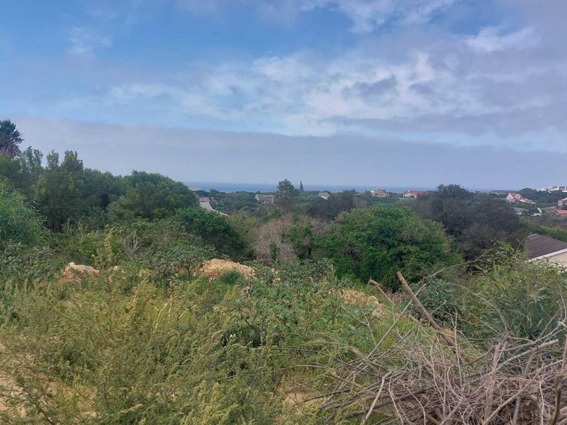 100% Sea View Vacant Land for Sale – Port Alfred, Sunshine Coast, Eastern Cape - Photo 3