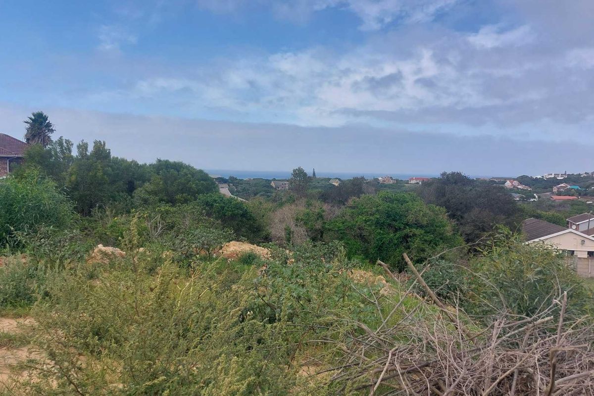 100% Sea View Vacant Land for Sale – Port Alfred, Sunshine Coast, Eastern Cape - Photo 3