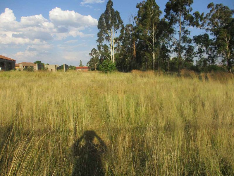 Henley Country lifestyle - Photo 3