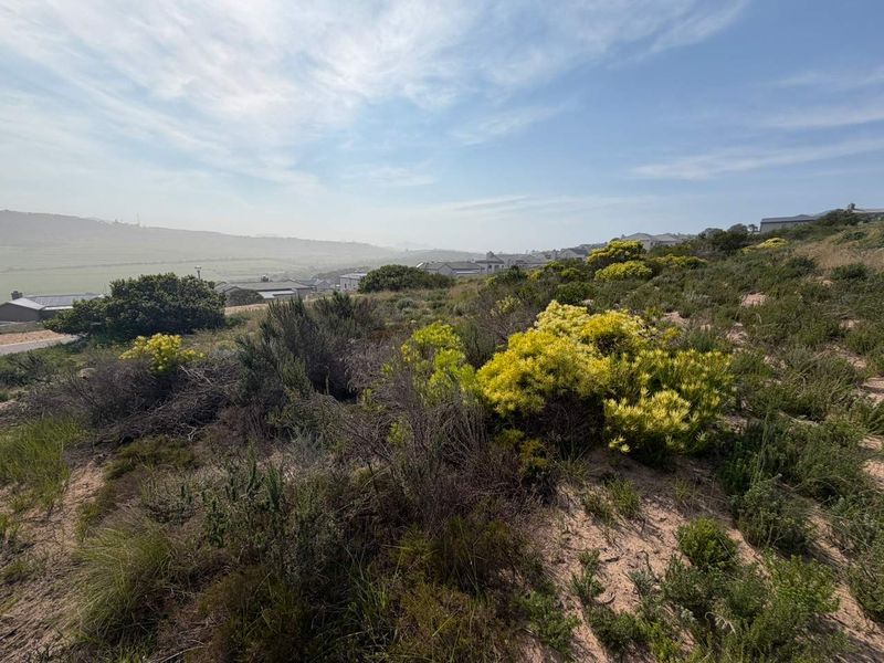 A scenic view overlooking a residential area from a sloped, naturally vegetated vacant plot.