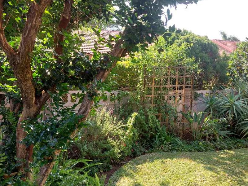 A well-maintained private garden area featuring established trees, lush greenery, a lawn, and a boundary wall with a decorative trellis.