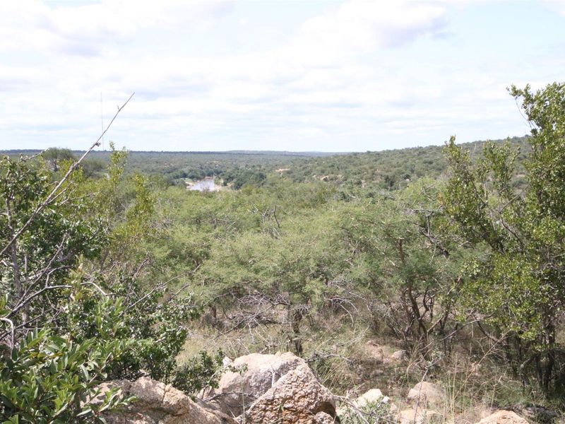 Exclusivity and quietness is the name of the game. - Photo 10