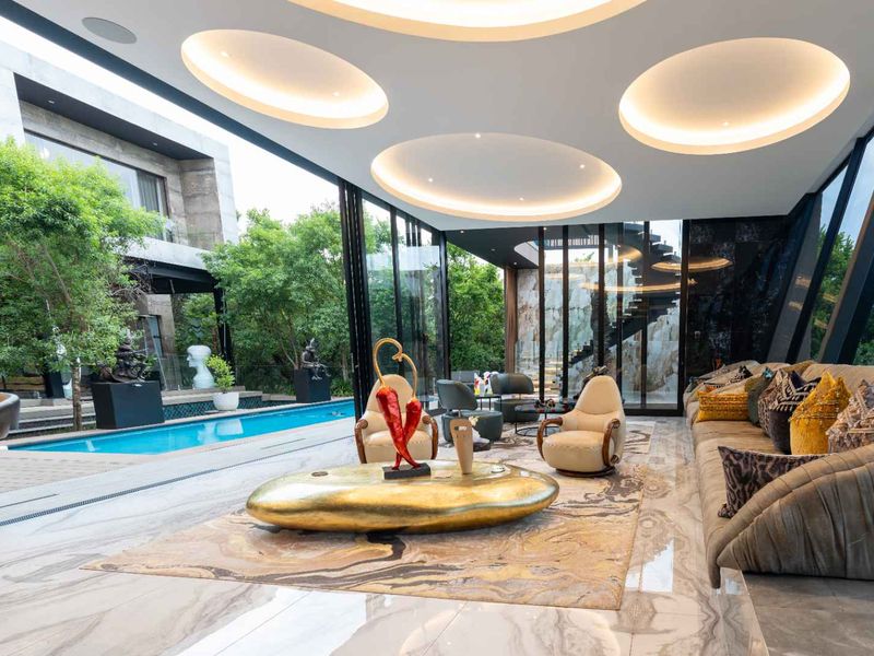 A Living Work of Art in Steyn City - Photo 4