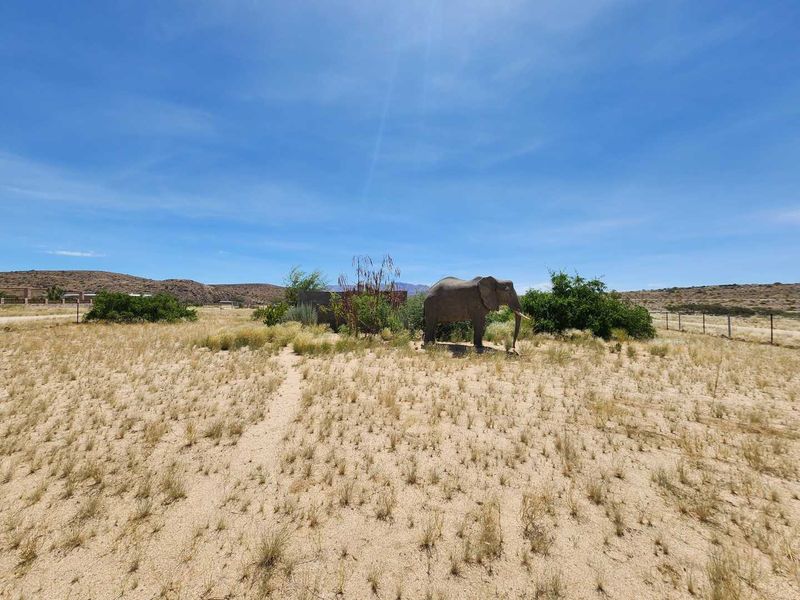 Uis:  Vacant Erven for sale in Moringa Estate - Photo 3