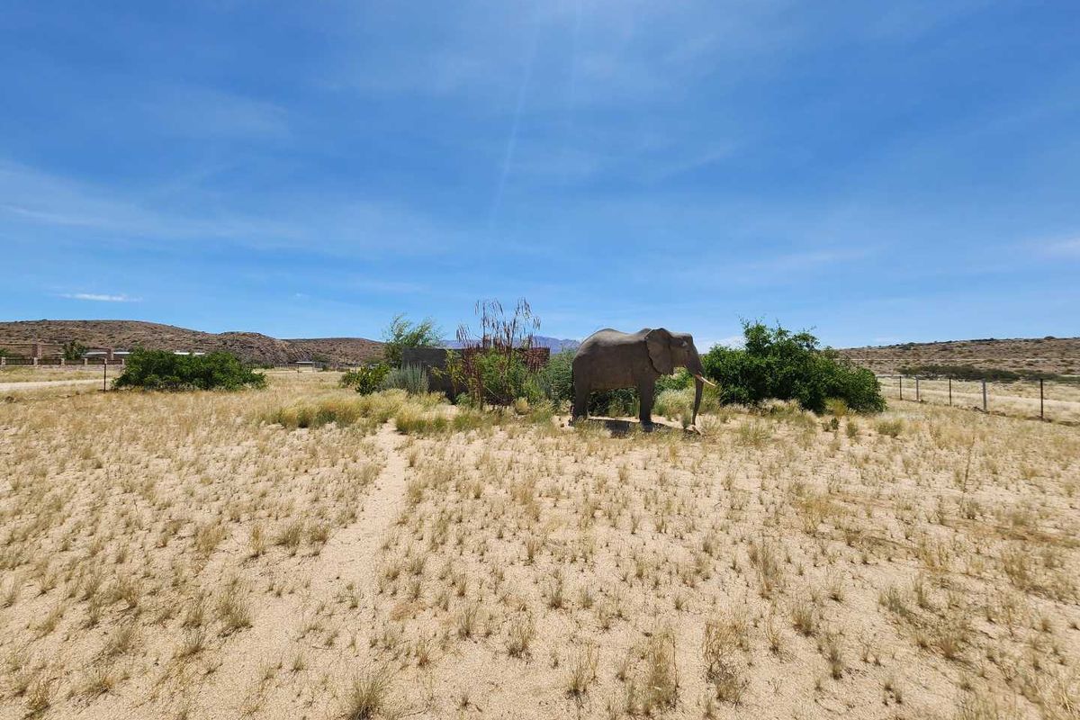 Uis:  Vacant Erven for sale in Moringa Estate - Photo 3