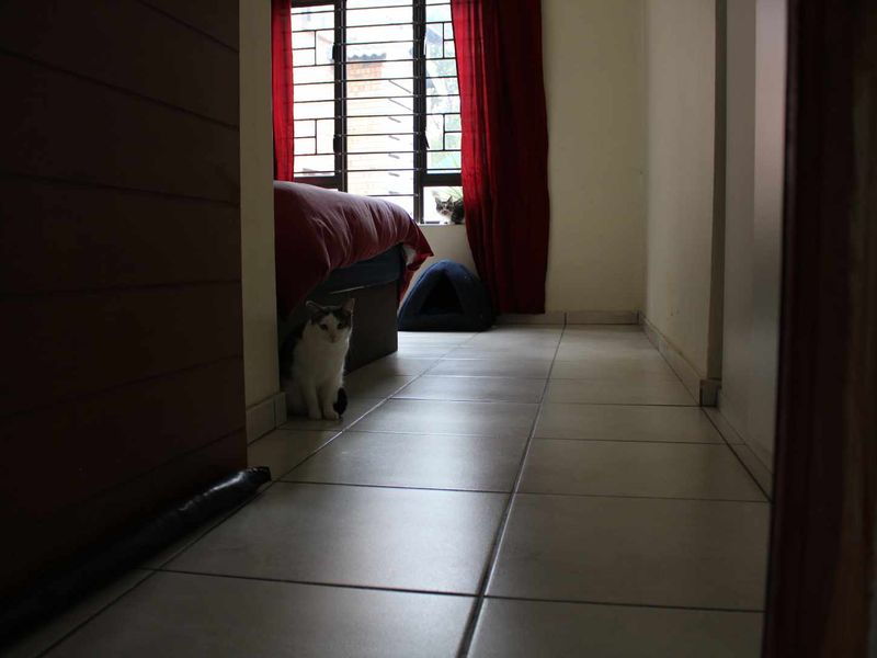 Serene Retreat: 2BR, 2BA Ground-Floor Townhouse - Photo 10