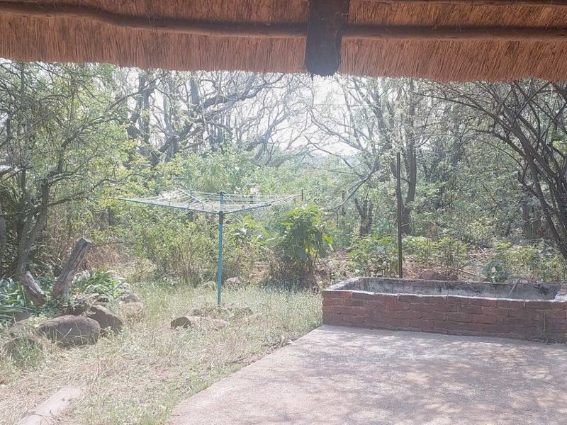 A covered patio area with a thatched roof, concrete flooring, and a brick planter, overlooking a natural garden setting.