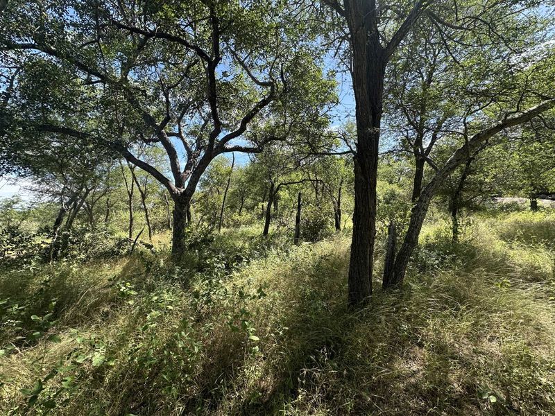 Secure a stunning stand in the bush in this pet friendly and exclusive reserve. - Photo 8