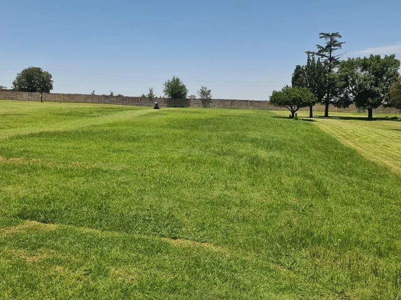 BELLA VITA A Premier Mixed-Use Development Investment Opportunity - Photo 8