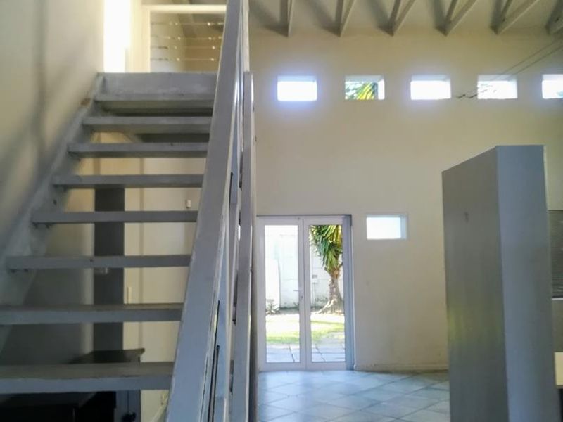 Double volume tranquil, light and sun filled- dual living - Photo 8