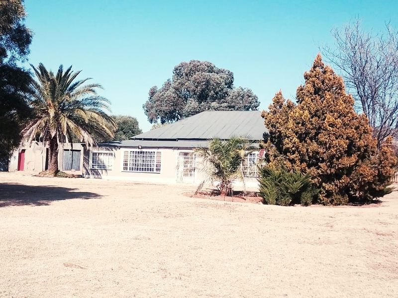 10.7 HEKT FARM,IDEAL FOR VEGETABLES TUNNELS.EGGS.PIGS,SHEEP TO ESTABLISH A GOOD INCOME - Photo 7