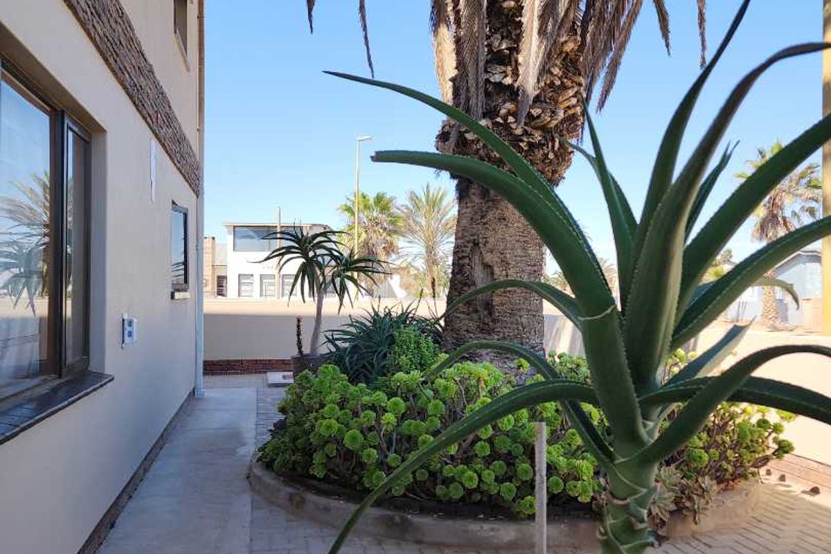 A side exterior view of the property featuring a paved walkway, landscaped garden bed with a large palm tree, and stone-clad wall detailing.