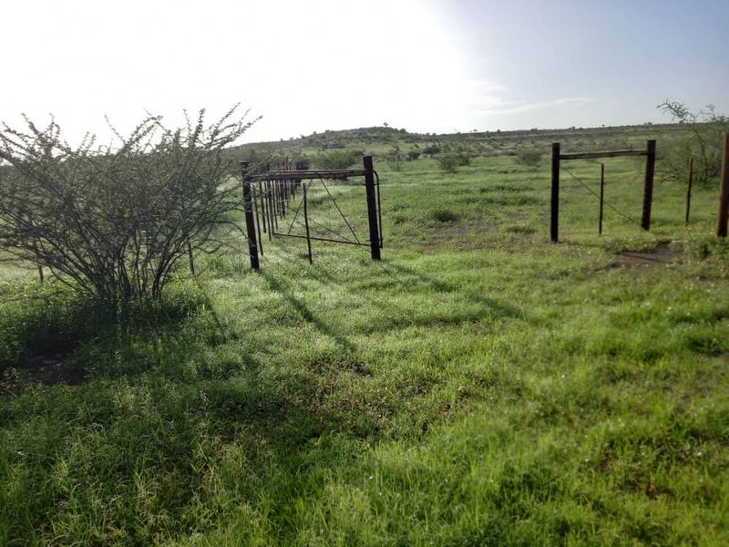 Farm For Sale - Photo 4