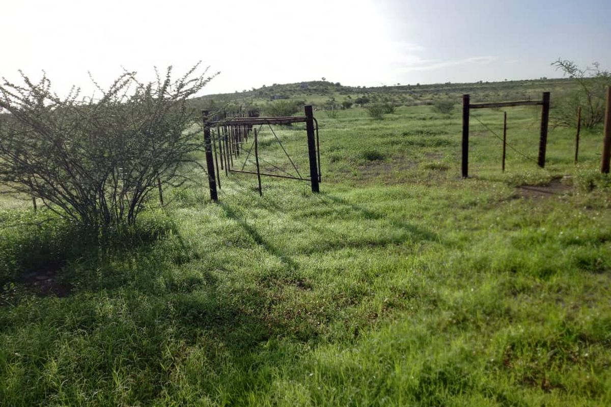 Farm For Sale - Photo 4