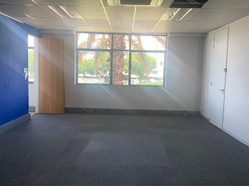 A vacant office space featuring carpeted flooring, a suspended ceiling with recessed lighting, and a large window providing natural light.