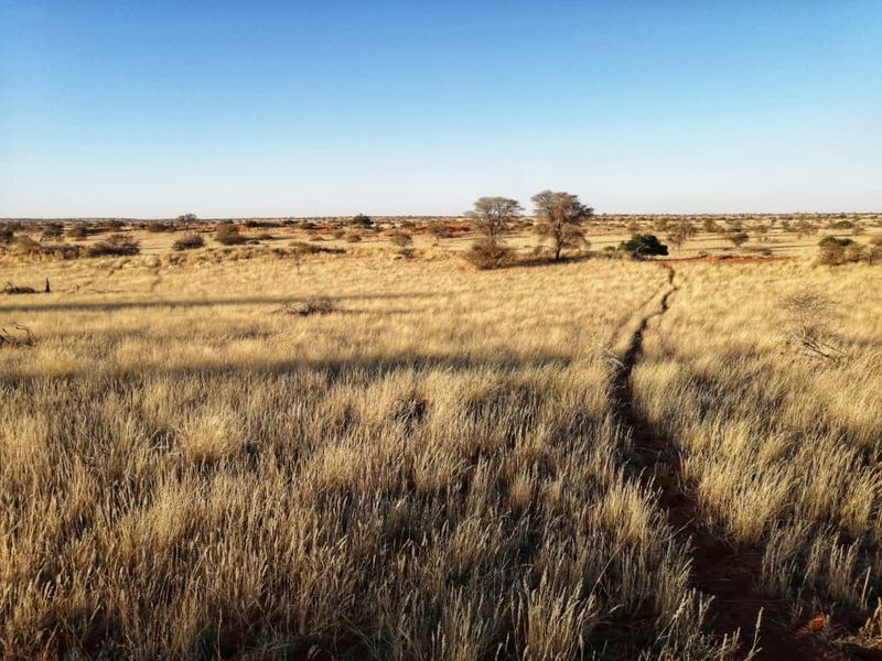 OWN YOUR PIECE OF NAMIBIA - FARM FOR SALE IN NAMIBIA - Photo 7