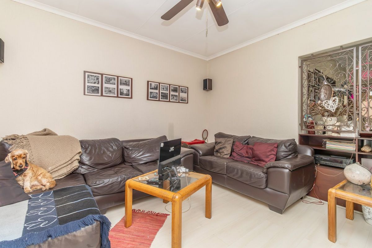 A comfortable living room featuring light-toned laminate flooring, a ceiling fan, and a decorative wrought iron room divider.