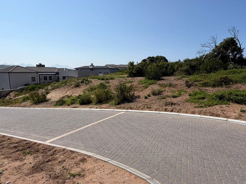 A view of a vacant residential plot featuring a paved driveway and established curbing, situated in a developed neighborhood.