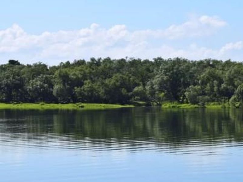 Own Paradise on the Banks of the Zambezi - Photo 8